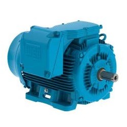 Motor trifasico W22 Severe Duty  , 7.5HP , 2 Polos , MOD 00736ET3EM213TW  , WEG 00736ET3EM213TW