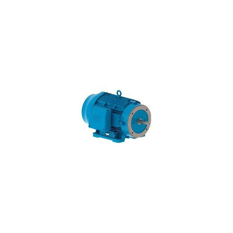 Motor trifasico W22 Severe Duty JM , 10HP , 4 Polos , MOD 01018ET3EM215JM   , WEG 01018ET3EM215JM