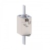 FUSIBLE NH2 PARA PROTECCIÓN DE CIRCUITO gL gG - 224A FNH2-224U