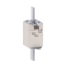 FUSIBLE NH2 PARA PROTECCIÓN DE CIRCUITO gL gG - 224A FNH2-224U
