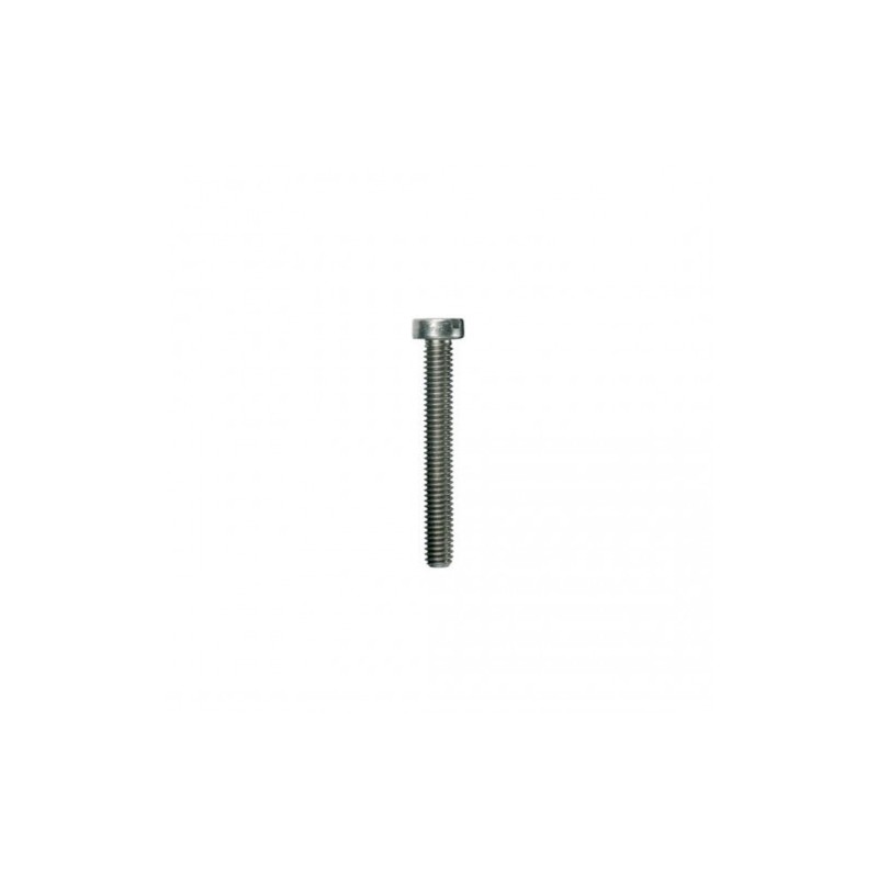 TORNILLO DE SUJECION PARA PUENTE MÓVIL DE CONEXIÓN TRANSVERSAL BFSC M4X9T