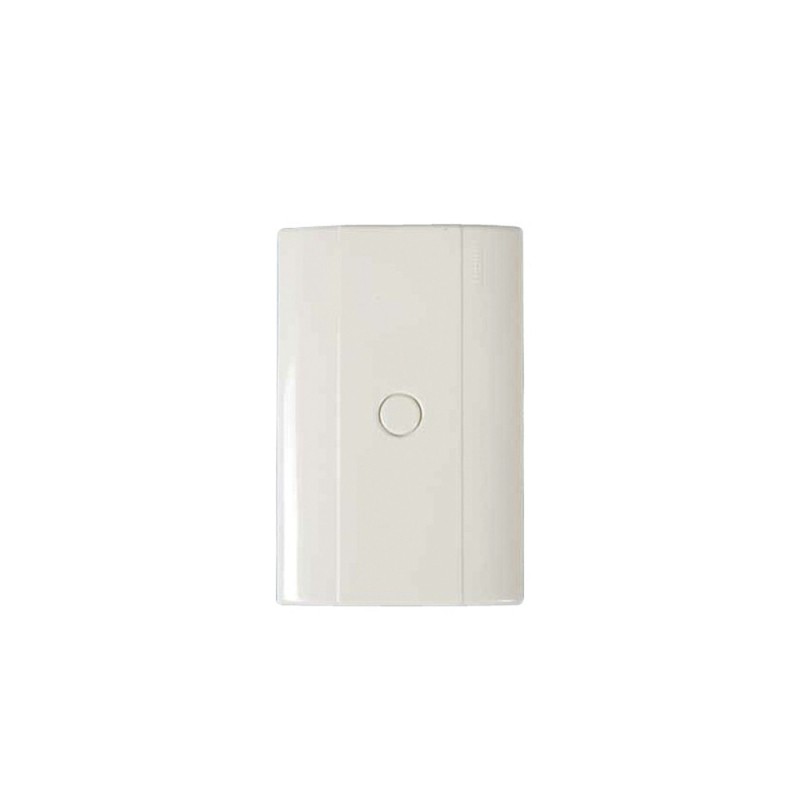 PLACA CIEGA MARFIL DE RESINA CON CHASIS  E5N0
