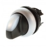SELECTOR ILUMINADO 2 POSICIONES M22-WRLK-W