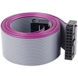 CABLE IDE HEMBRA-HEMBRA 10x2 22.5cm IDE20PIN-HH22.5CM
